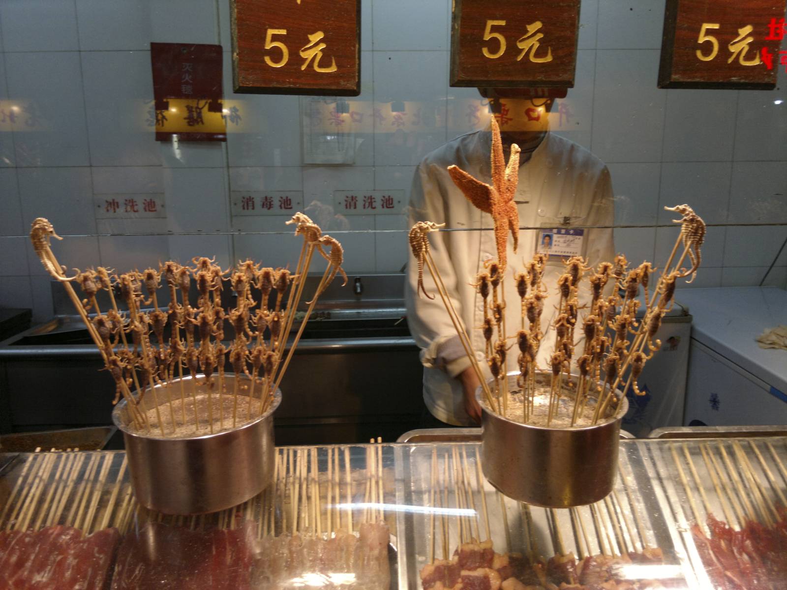 Cina-china-scorpions-spiedini-street-food